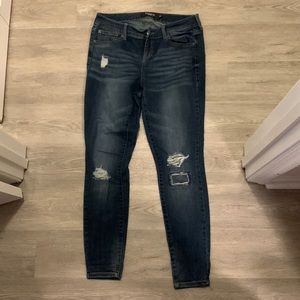 Torrid Stretch Skinny Jeans